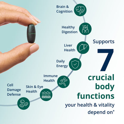 PhytoMulti® Multivitamin
